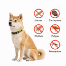 Anti-Pulgas e Todos - Colares com pingente antipulgas e carrapatos naturais para cães e gatos