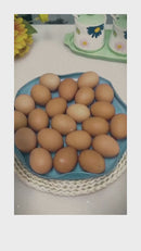 OpennEgg Abridor de ovos portátil, facilidade para a Cozinha